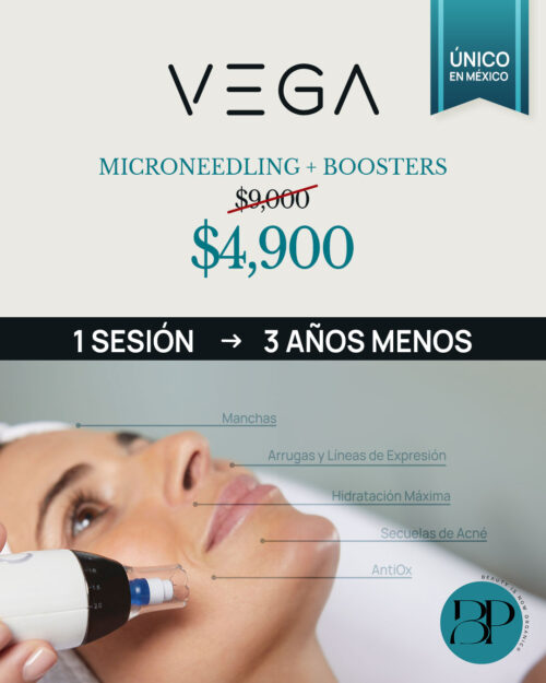 Promoción VEGA de Bruno Vassari